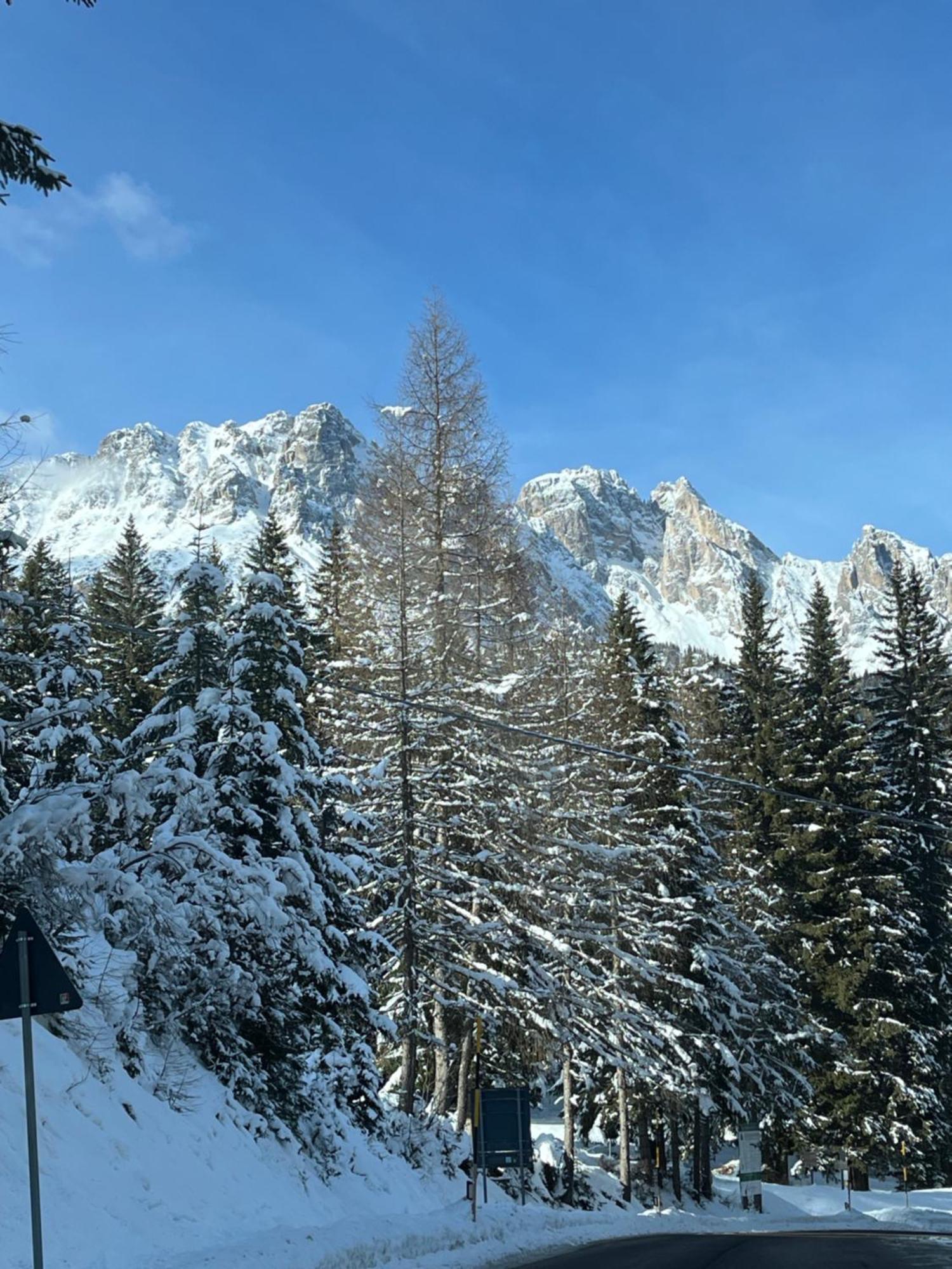 Chalet Delle Dolomiti Pieve di Cadore Exterior foto