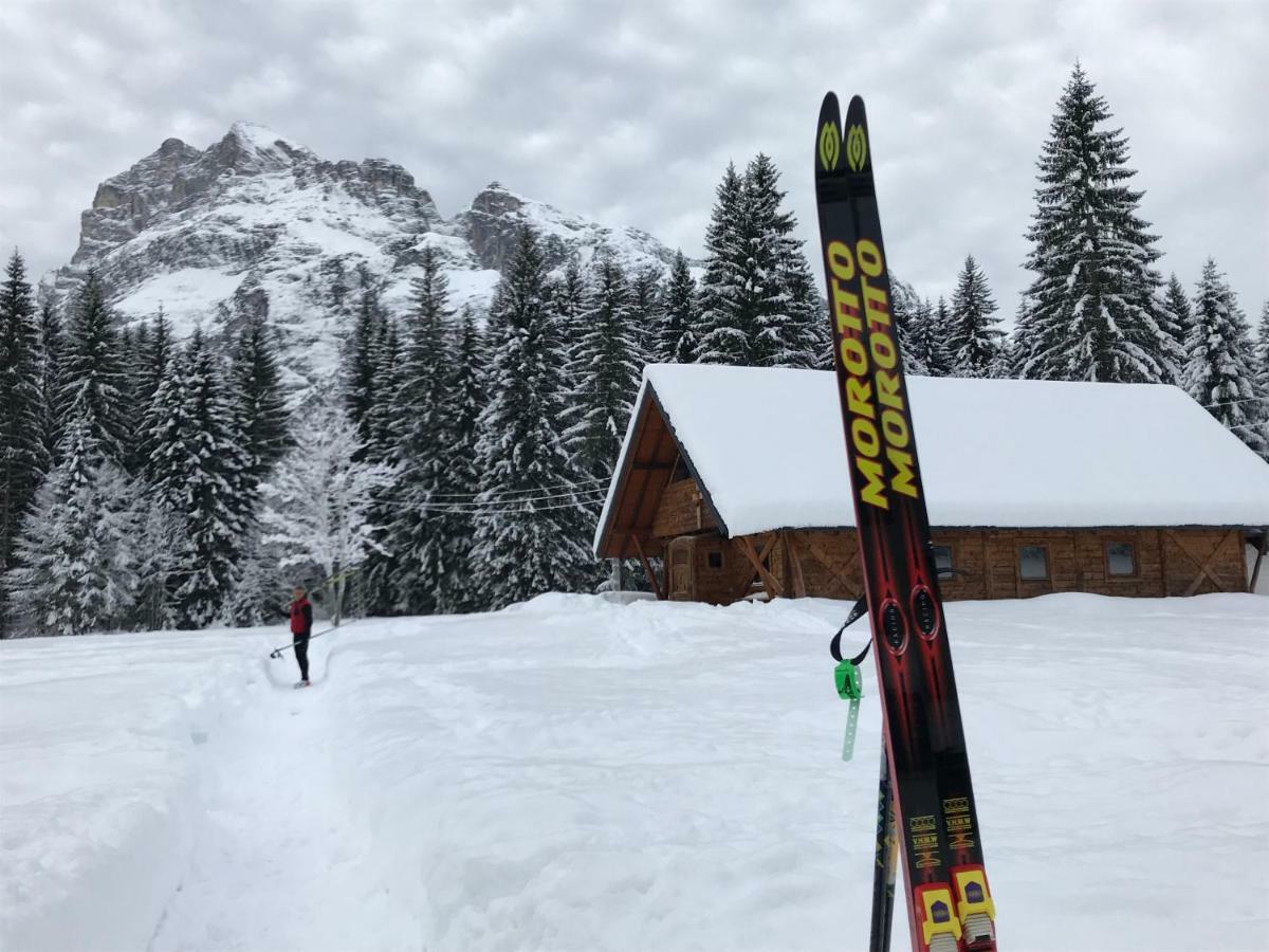 Chalet Delle Dolomiti Pieve di Cadore Exterior foto